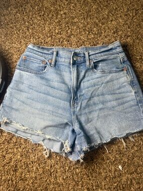 American Eagle Outfitters Light Blue Stretch Denim Shorts